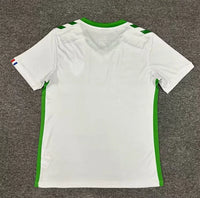 AS Saint-Étienne Auswärtstrikot 2024/2025