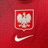 Polen Auswärtstrikot 2024