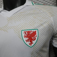 Wales Auswärtstrikot WM 2026