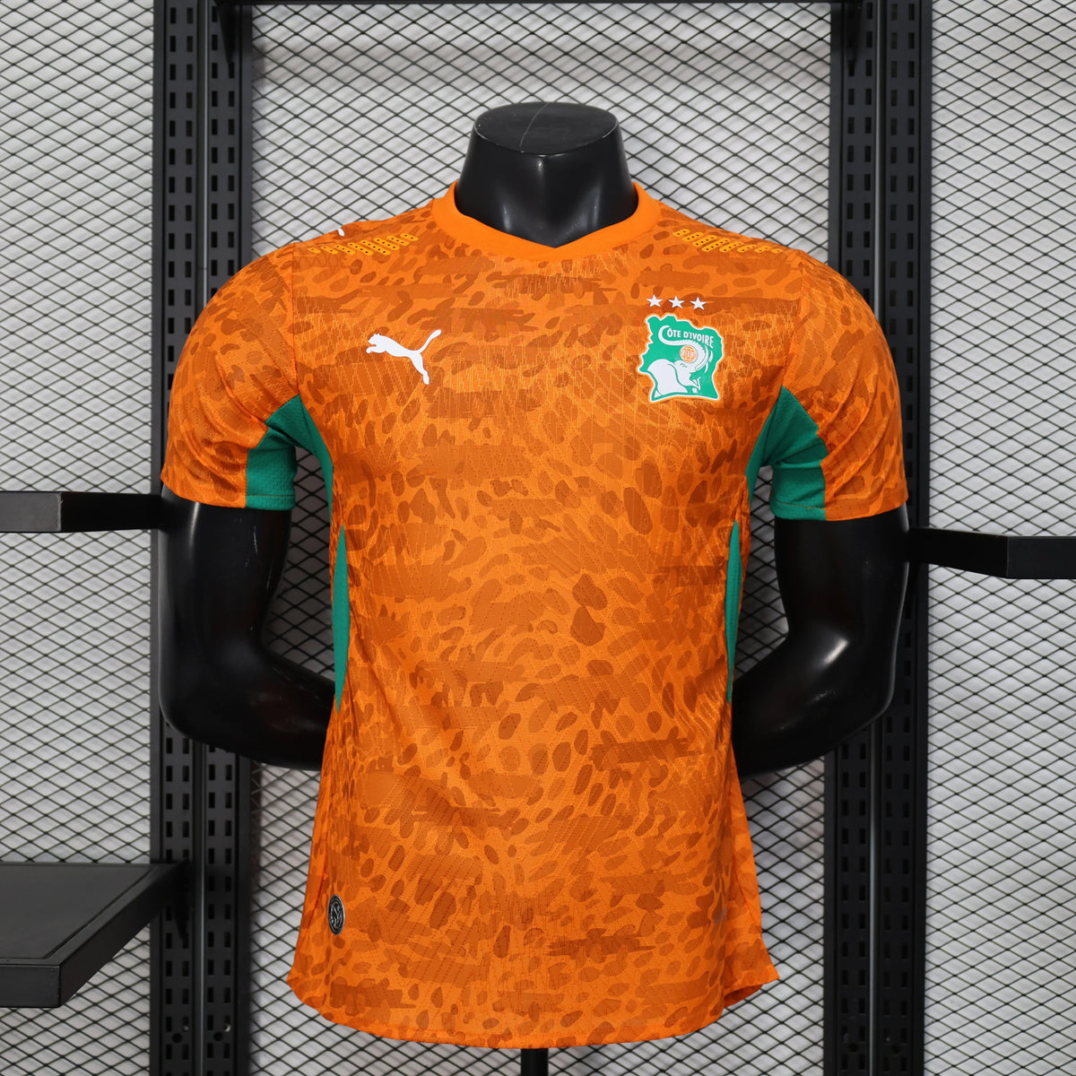 Elfenbeinküste Trikot WM 2026