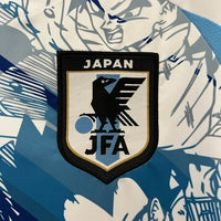 Japan Special/Sondertrikot DBZ 2024