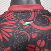 Palästina Special/Sondertrikot 2025/2026