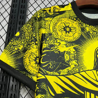 Brasilien Special/Sondertrikot Gelb 2024