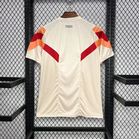 Lyon Special/Sondertrikot 2024/2025